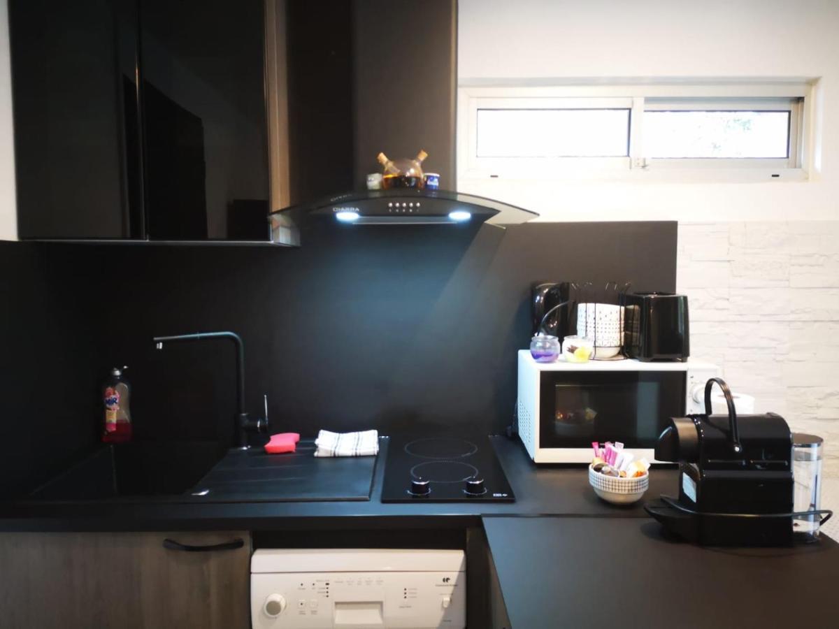 Le Cosy De L'Ile Apartment Avignon Luaran gambar
